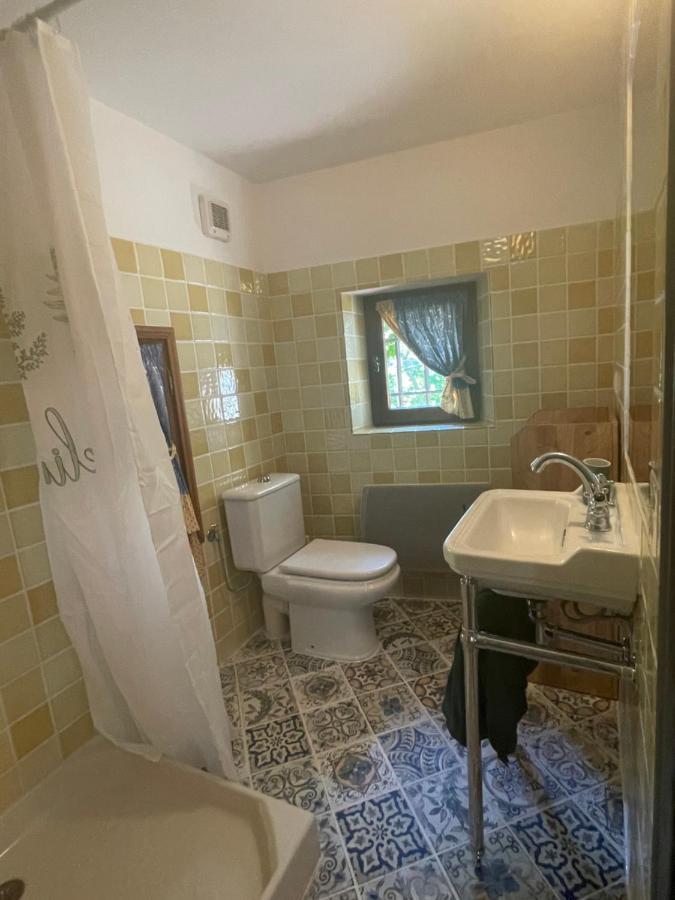La Maison De Platane B&B 法扬斯 外观 照片